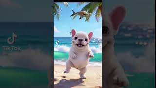 67 # meme #cutedog #dih #memes #phonk #sigma #bloodstrike #6767 #memesdaily