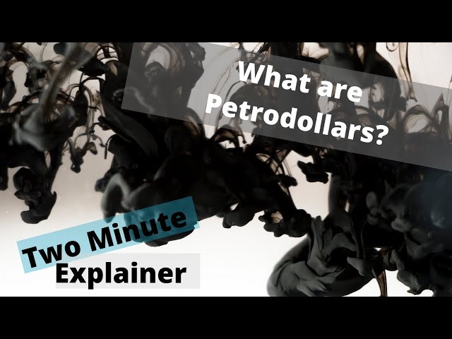 What are Petrodollars? Why do Petrodollars Matter? class=