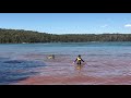 Day 6 of the Lake Navarino Swim | Pushing Limits