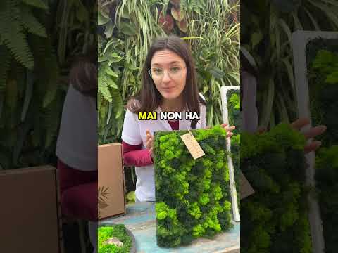 In questo video ti raccontiamo i 3 errori più comuni da evitare con il verde stabilizzato