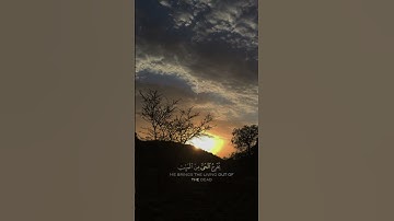 { فسبحان الله حين تمسون وحين تصبحون } سورة الروم للقارئ عبدالله الموسى #duet  #تلاوة_خاشعة #quran