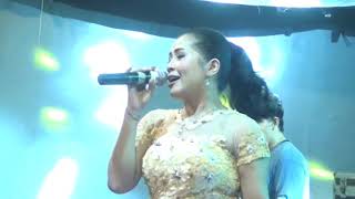 New Apollo Mencari Mangsa  (Mimin Aminah)
