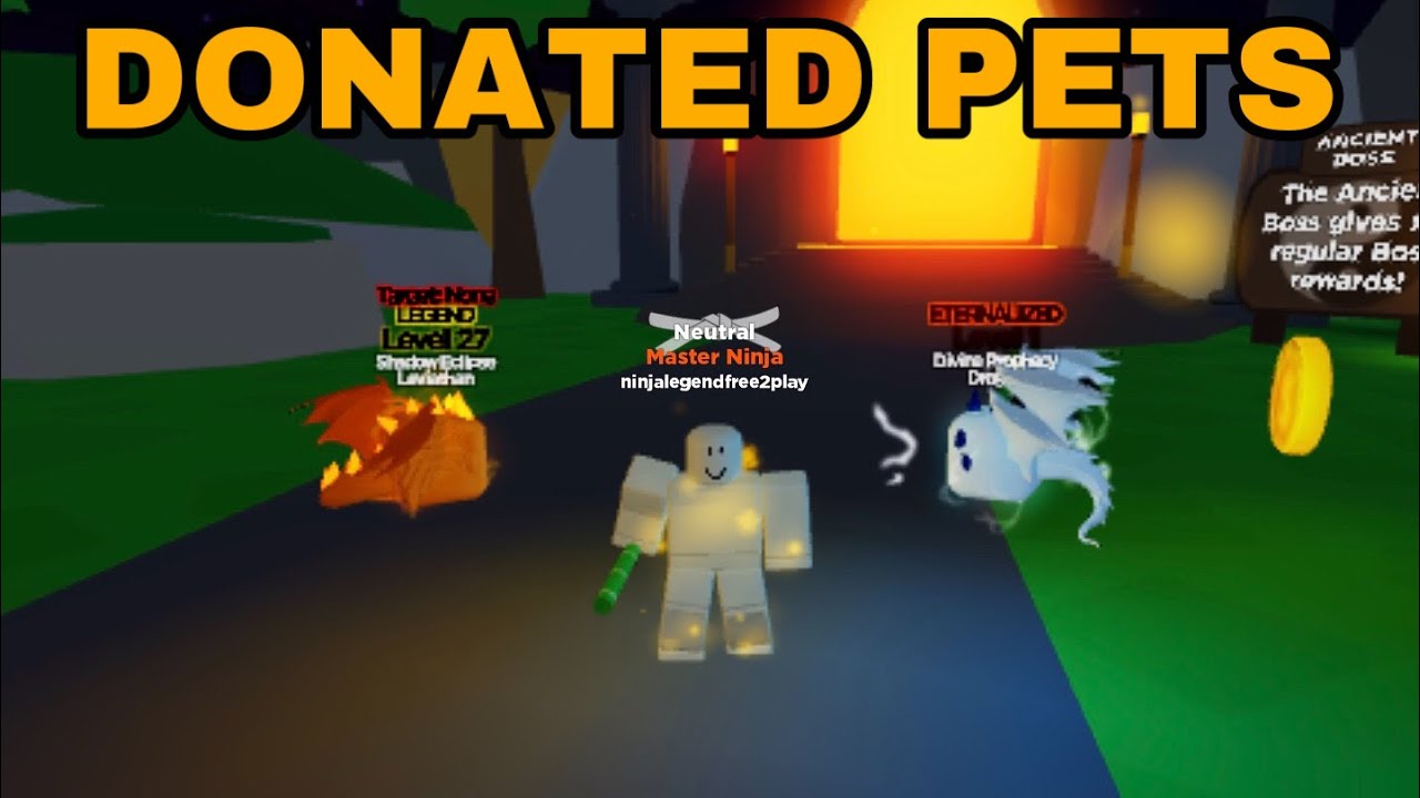 Using Only Donated Pets How Far Can I Get In 15 Minutes Ninja Legends - noob disguise trolling with max rank in roblox ninja legends