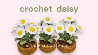 Crochet Daisy🌼Ep1 ถักดอกเดซี่                     #crochet #crochetflower #daisyflowers #temmycraft