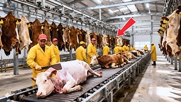 Inside the Cowhide Factory: From Raw Leather to Million Dollar Products (full process)