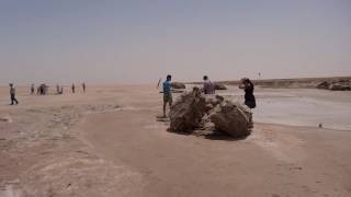 Солёное озеро Шотт-Эль-Джерид, Тунис
