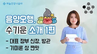 음양오행, 수기운 소개 1편 (水) [하늘건강나음터]