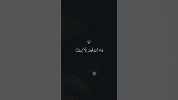 من سورة البقرة تلاوة خاشعة القارئ ياسر الدوسري #القران_الكريم_راحه_نفسية