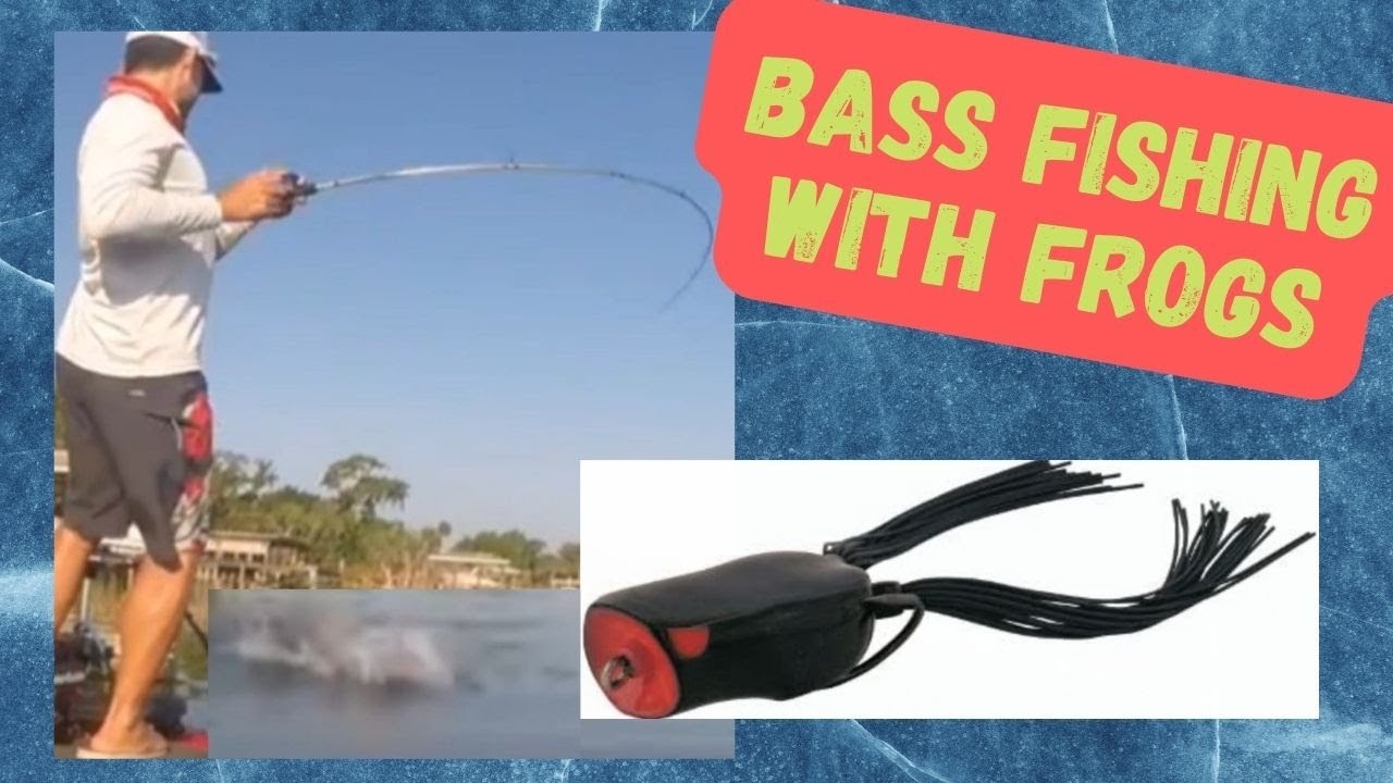 Bass Fishing TOPWATER frogs!! 🐸🔥😲 fishing YouTube