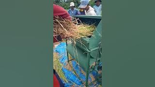 Mesin Herek Perontok Padi 2020
