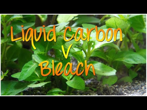 Aquascape and BBA, liquid carbon v bleach