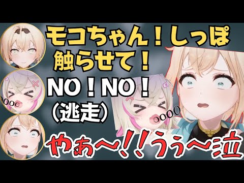 フワモコやこよりの尻尾を狙ういろは殿のホロナツクイーン決定戦VRChatが面白すぎたw【ホロライブ 切り抜き/風真いろは/アキロゼ/博衣こより/フワモコ】