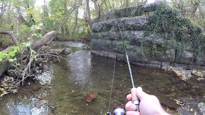 TINY Creek Ultralight TROUT Fishing 