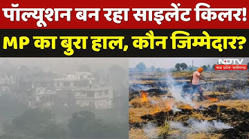 MP Air Pollution: पॉल्यूशन बन रहा साइलेंट किलर!, दमघोटूं हुई हवा। AQI । Latest । Smoke । Health