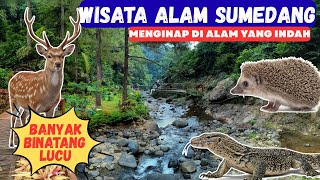 Download Lagu Viesata Ke Kampung Karuhun Sumedang  |  Melihat Binatang Lucu MP3