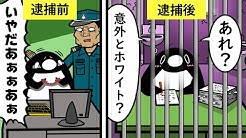 テイコウペンギン Youtube