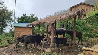 Unseen Rural Nepal Life | Daily Morning Routine | Village Food | Tradition Living 