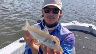 Catching Whiting on the Gold Coast in the rivers and How to put a worm onto a hook.