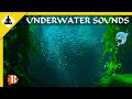 Underwater Sounds Short