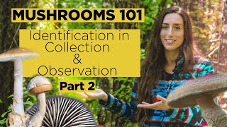 Mushrooms 101: Identification in Collection & Observation  Part 2