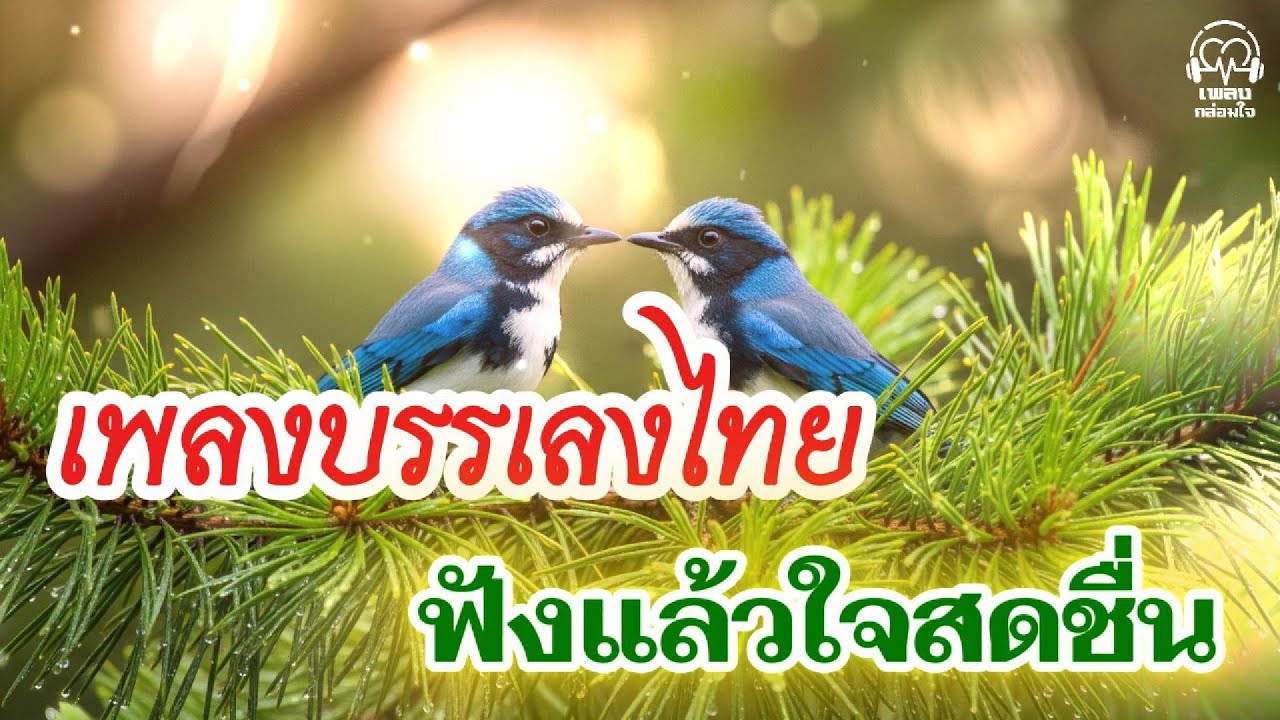 เพลงบรรเลงไทยยามเช้า | ฟังแล้วใจสดชื่น เติมพลังบวกทั้งวัน