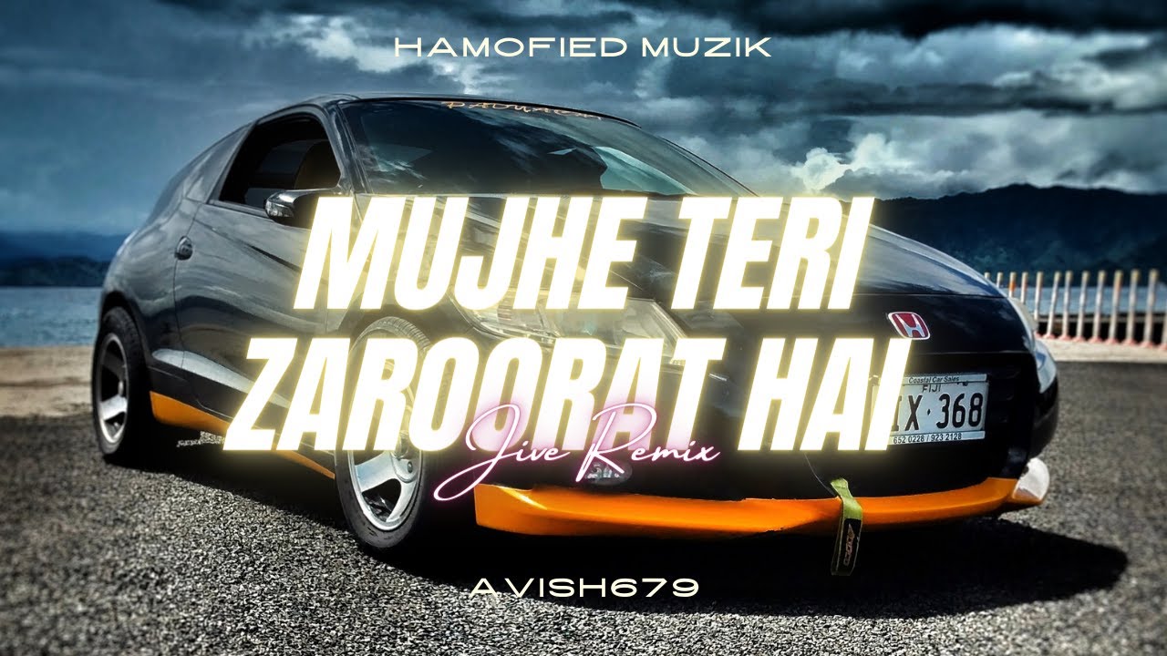 MUJHE TERI ZAROORAT HAI HINDI JIVE REMIX  TIKTOK TRENDING  AVISH679