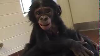 First InterSpecies Musical Conversation