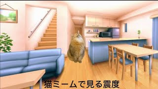 猫ミームで見る震度(東日本大震災から13年)