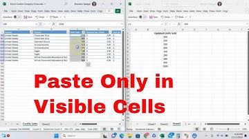 Copy and Paste Only Into Visible Cells When Filtering Data in Microsoft Excel! #howto #msexcel
