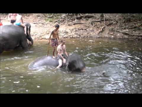 Video: Hoe Olifanten Op Een Verantwoorde Manier Te Zien Tijdens Uw Reis Naar Thailand