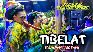 TIBELAT NAEK SAABREG ABREG ~ VOC. MAMAH CABE RAWIT || JOGED JAIPONG - NAMIN GROUP KARAWANG