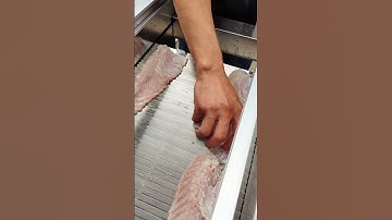 Snakehead fish slicer for factory