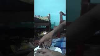Ape auto feed pump working video