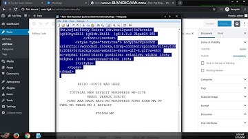 New Exploit Wordpress Site