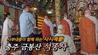 충주 금봉산 석종사~ 사부대중이 함께하는 사시예불 #불교 #사찰여행 #혜국스님 #예불