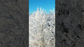 The frost yesterday 😍❄️ #frost #sunny #hoarfrost #rimefrost #drone #videooftheday #randyrichfilms