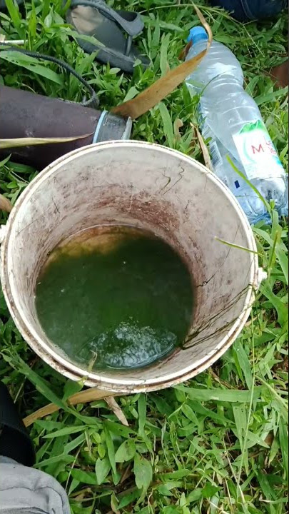 spot kali serang kulon progo