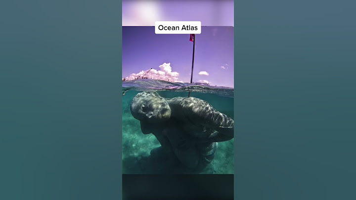 Strangest Things Found Underwater