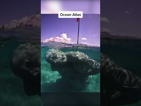 Video: Razones para visitar el lago Mono, extrañamente interesante