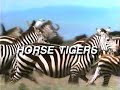 Horse Tigers (1992)