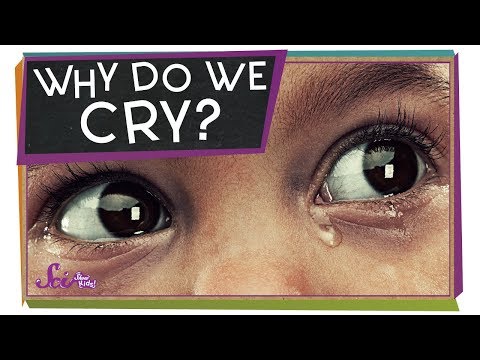 What Are Tears Made Of and Why Do We Cry?​