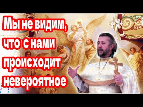 Мы не видим, что с нами просходит невероятное. Священник Игорь Сильченков