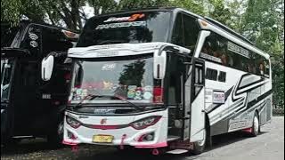 STORY WA BUS 30 DETIK | CINEMATIC BUS 30 DETIK | FREE MENTAHAN