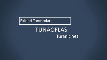 Minecraft Bedrock Edition Ziyaret Plugin