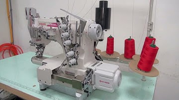 PEGASUS W264HP/MS with Hohsing D.D. Servo Motor + TD356-6-64-2 Control Box