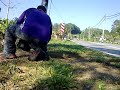 Amat Terkukur - Panaskan Pikat Untuk Jalan Jauh Besok. Laman Palong 16 N9, Harap Pikat On
