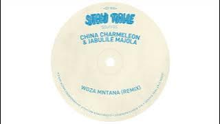 China Charmeleon X Jabulile Majola - Woza Mntana (Remix)