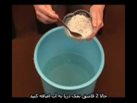 تصویری: چگونه نمک را از ماسه دریا پاک کنیم؟