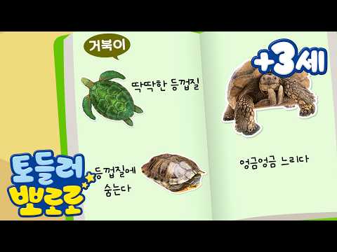토들러 뽀로로 (+3세) | 뽀로로 자연 도감 | 거북이의 특징을 배워요 | 유아 학습 | 자연 관찰 | 뽀로로 학습