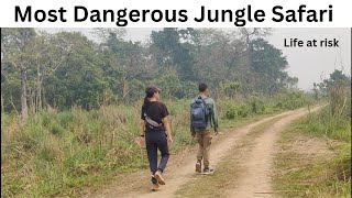 Most Dangerous Jungle Safari  Chitwan National Park
